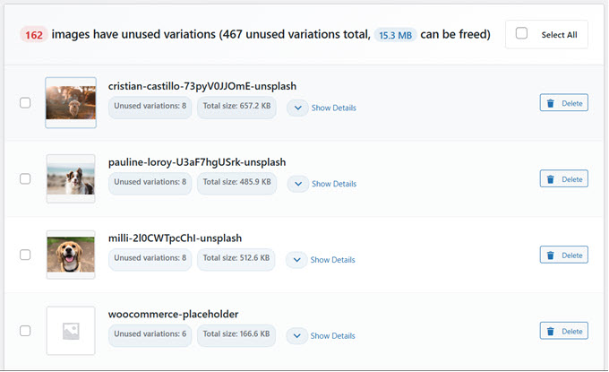 WP Media Cleanup scan results listing unused image variations