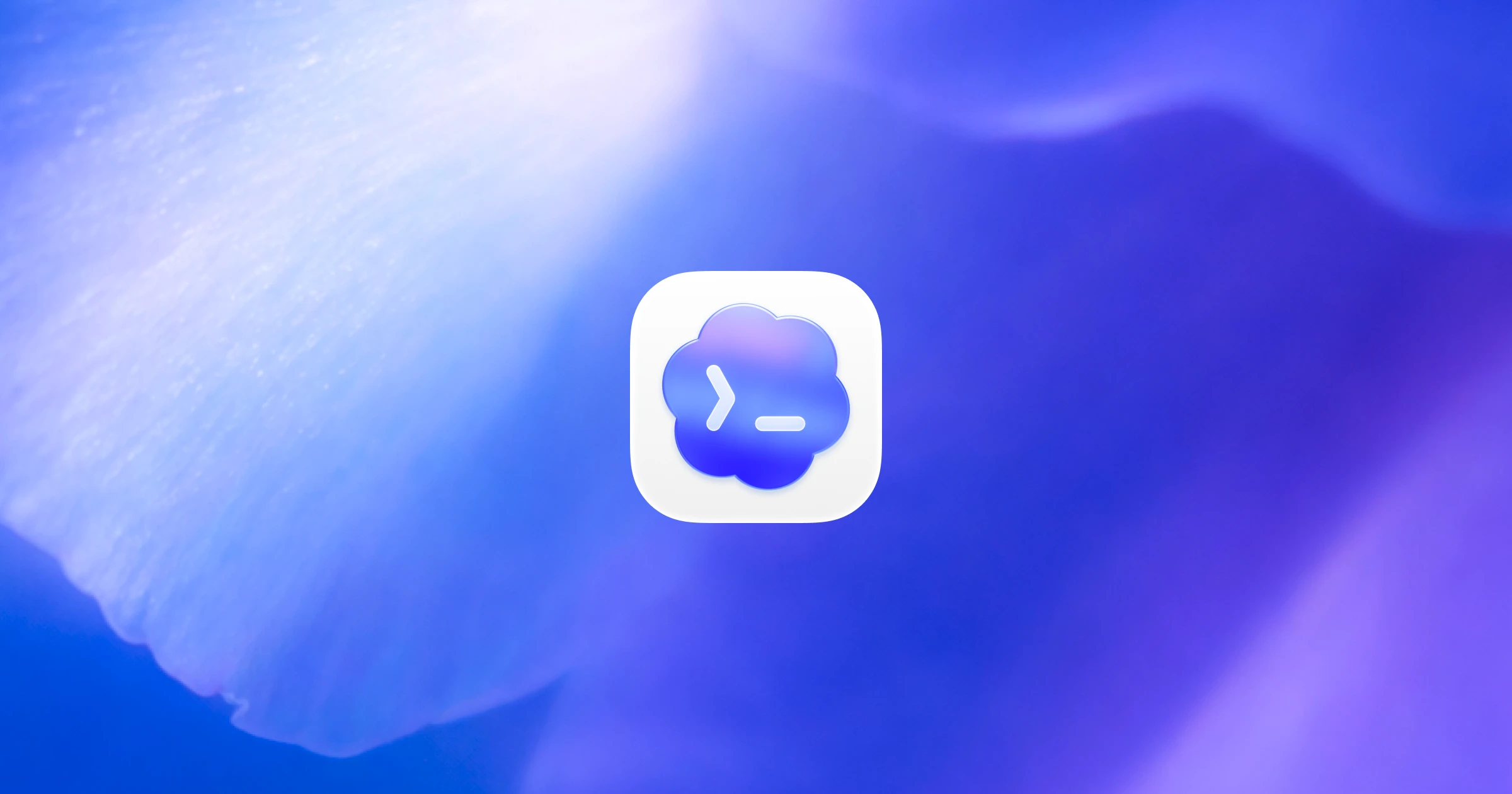 Codex app pristatymo įrašo vizualas