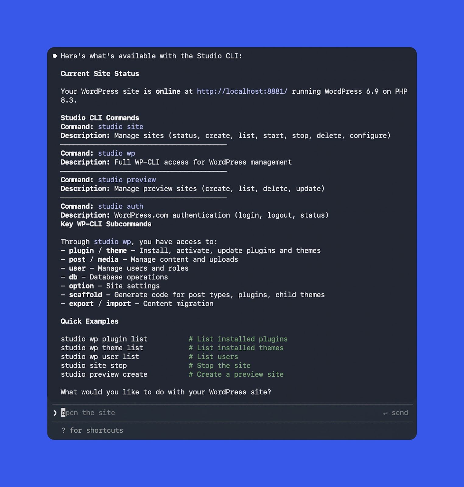 Voorbeeld van output waarin een AI-agent `studio`-opties verkent in een terminal