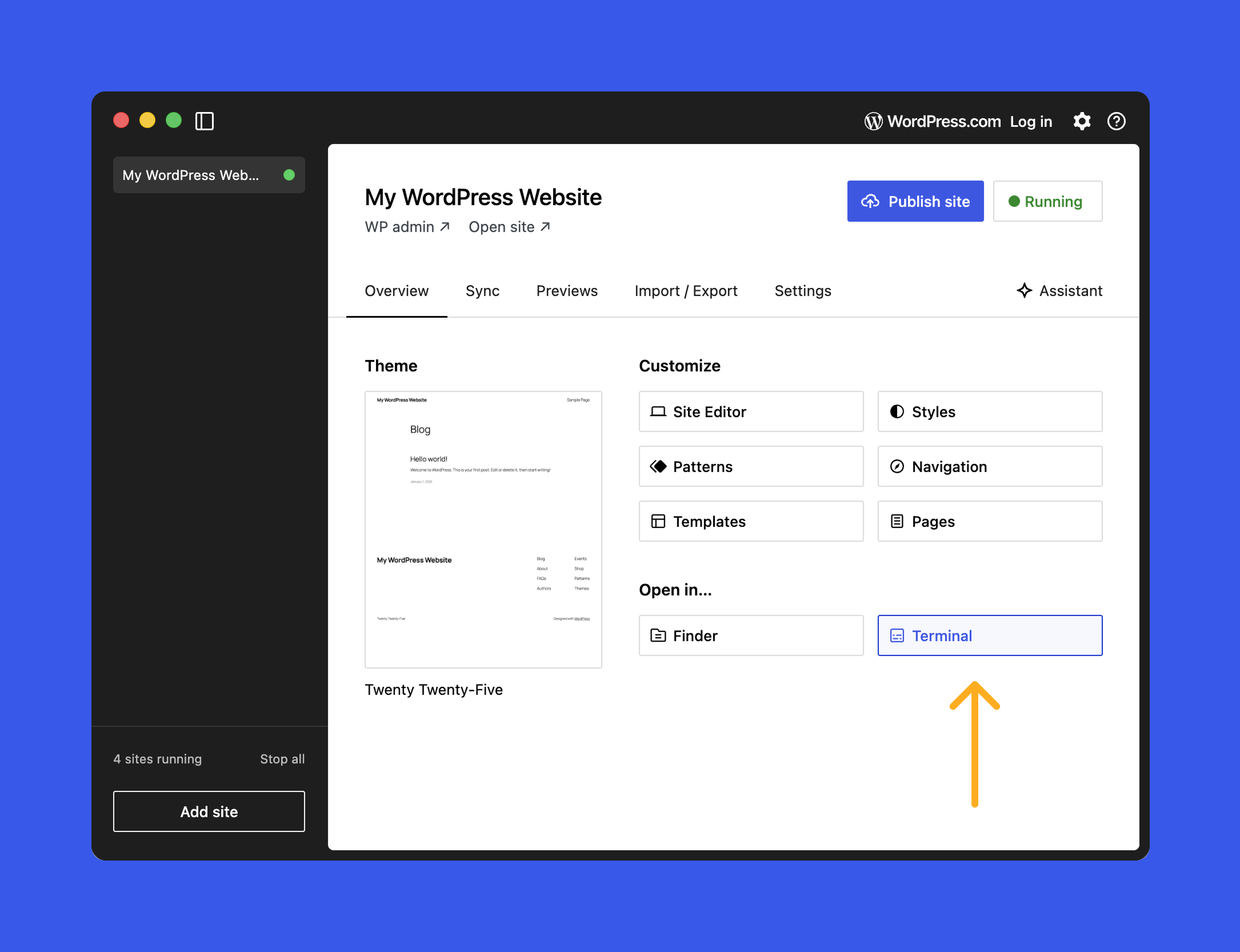 Ekran Overview w WordPress Studio z przyciskiem Terminal